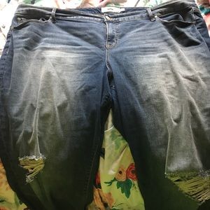 Torrid Jeans